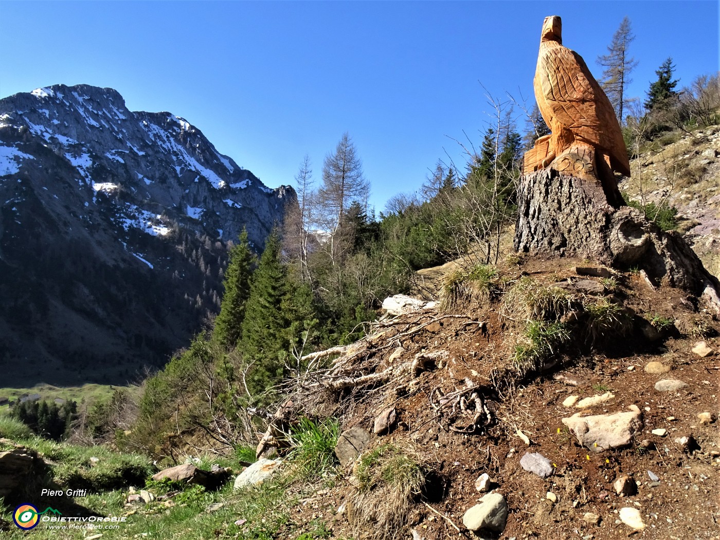 15 Aquila reale scolpita in tronco d'abete con vista in Corno Branchino.JPG